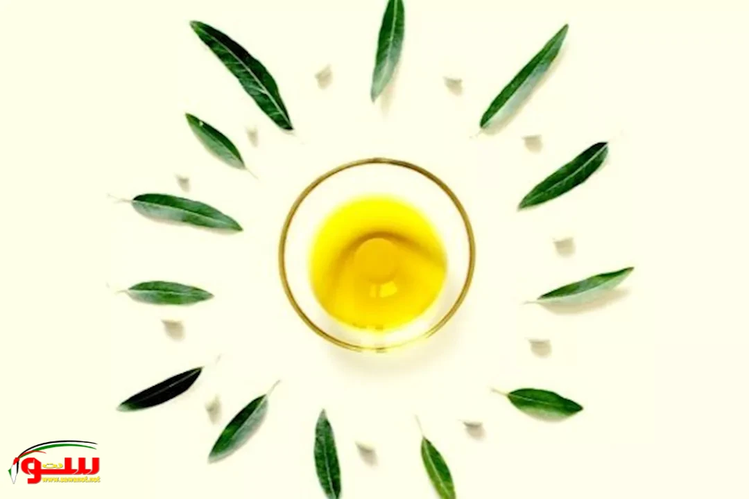 شرب زيت الزيتون قبل النوم- هل ينقص الوزن؟
